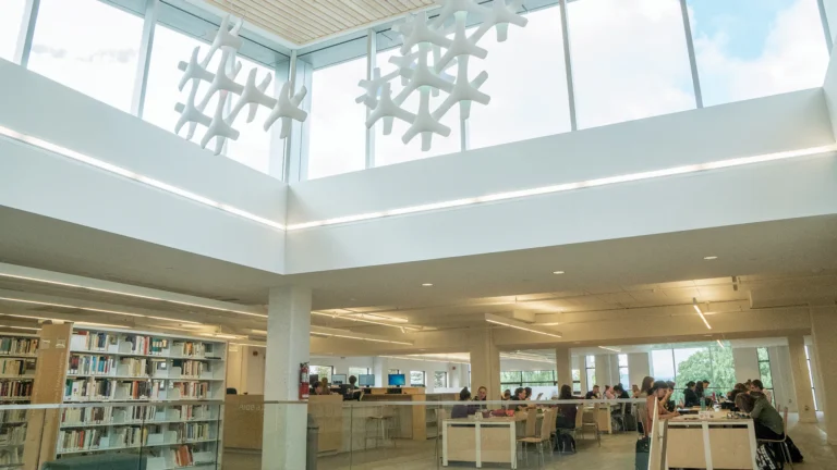 Services-Bibliotheque-Flocons